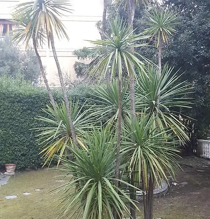 بيت ضيافة Garden