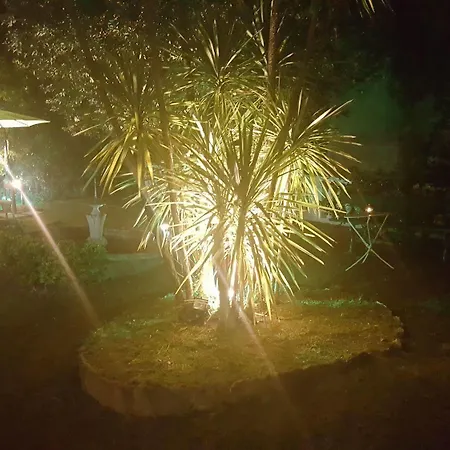 Garden بيت ضيافة جنوة